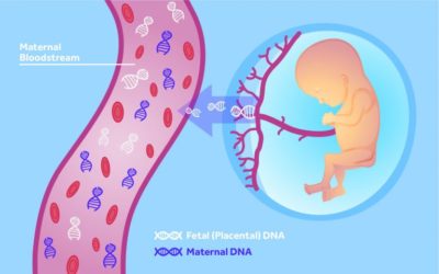 Cell Free DNA